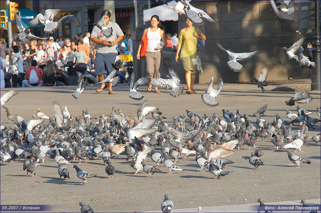 Испания / Барселона / 09.2007